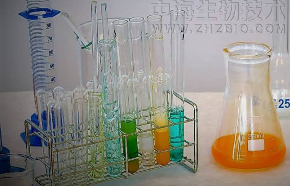 淺談培養基保存放置需注意四個方面？